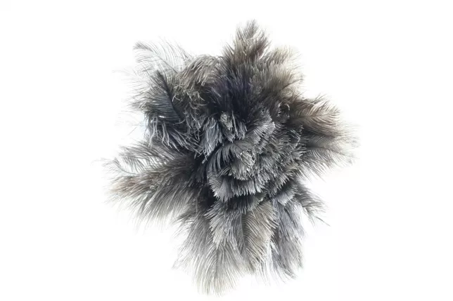 Piano Feather Duster Ostrich Feathers 70cm Gray - © Vornehm, Großostheim, Germany