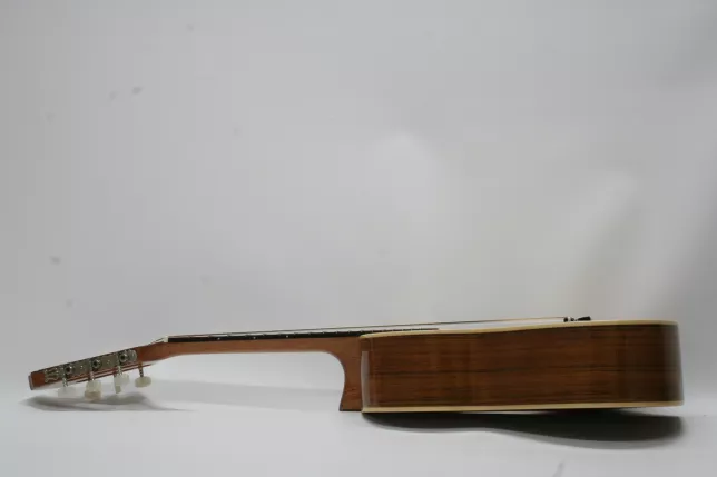 Raffael Moralo Children's Guitar 14-48