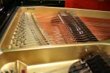 Grotrian-Steinweg Flügel 225 -  © Vornehm, Großostheim