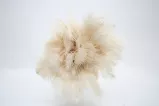 Piano Feather Duster Ostrich Feathers 70cm White - © Vornehm, Großostheim, Germany