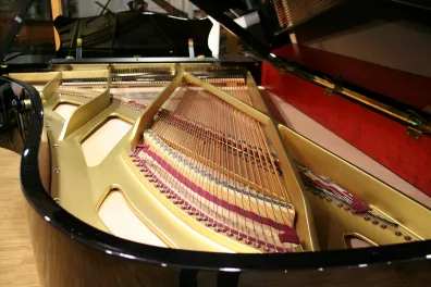 Grotrian-Steinweg Flügel 225 -  © Vornehm, Großostheim